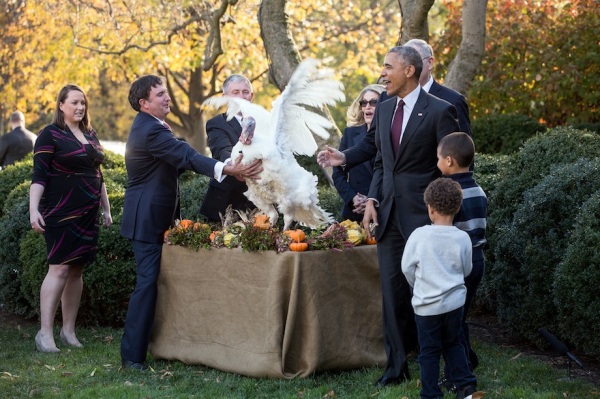 President Barack Obama and nephews Austin and Aaron Robinson watch National Thanksgiving Turkey Tater flap during the pardon of the National Thanksgiving Turkey ceremony in the Rose Garden of the White House, Nov. 23, 2016. (Official White House Photo by Chuck Kennedy)